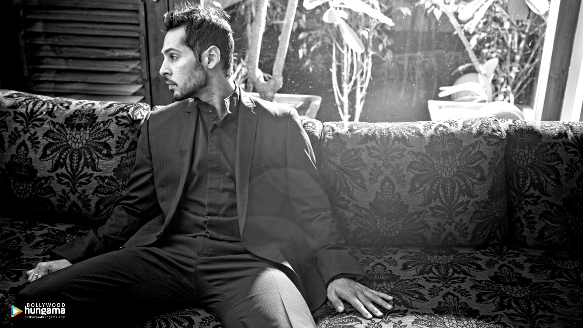 Dino Morea