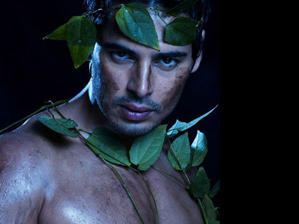 dino morea 10