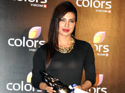 Red Carpet Of IAA Awards Party