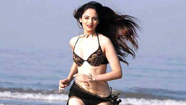 The Xpose Mashup (The Xpose)