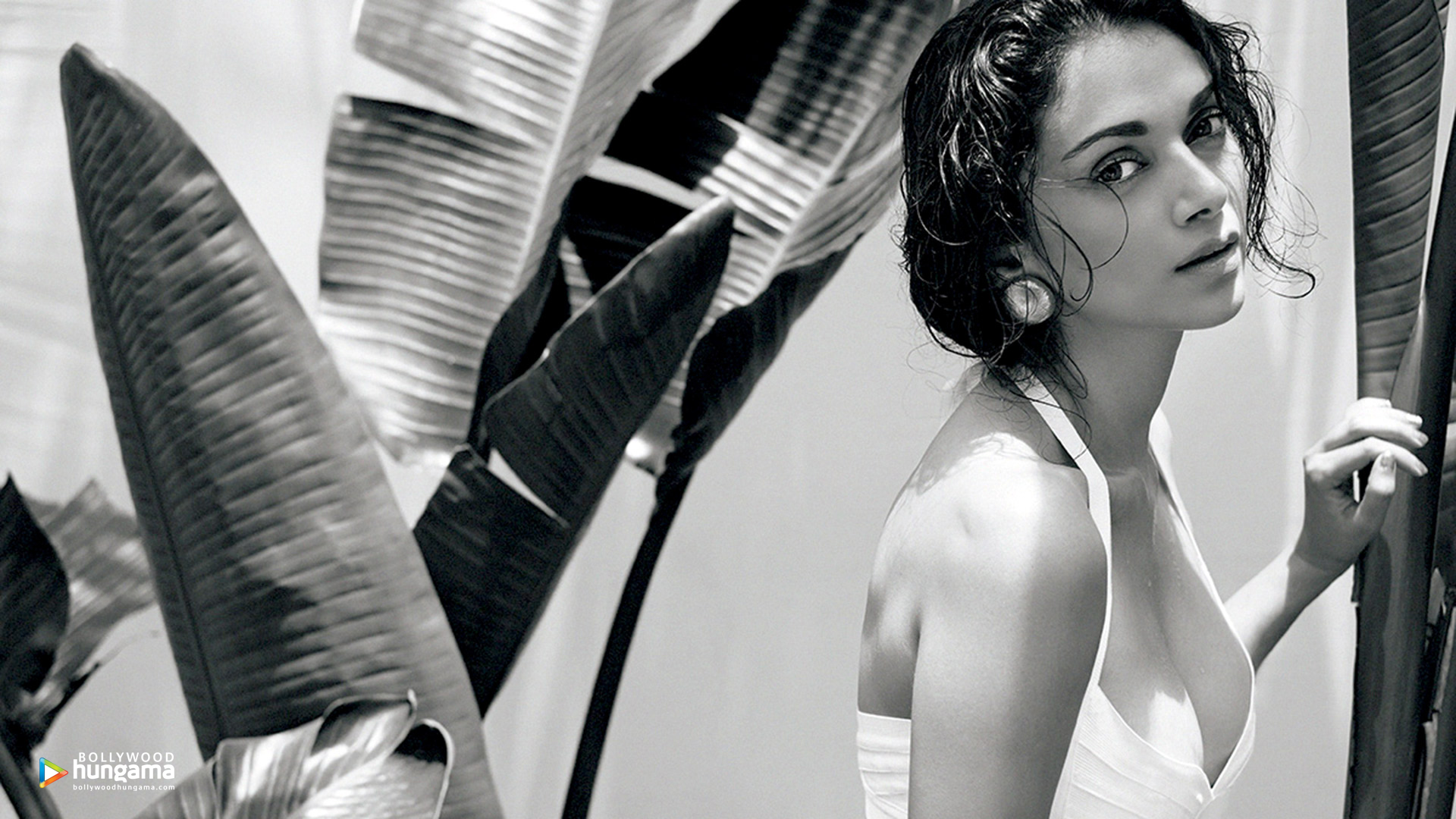 Aditi Rao Hydari Aditi Rao Hydari