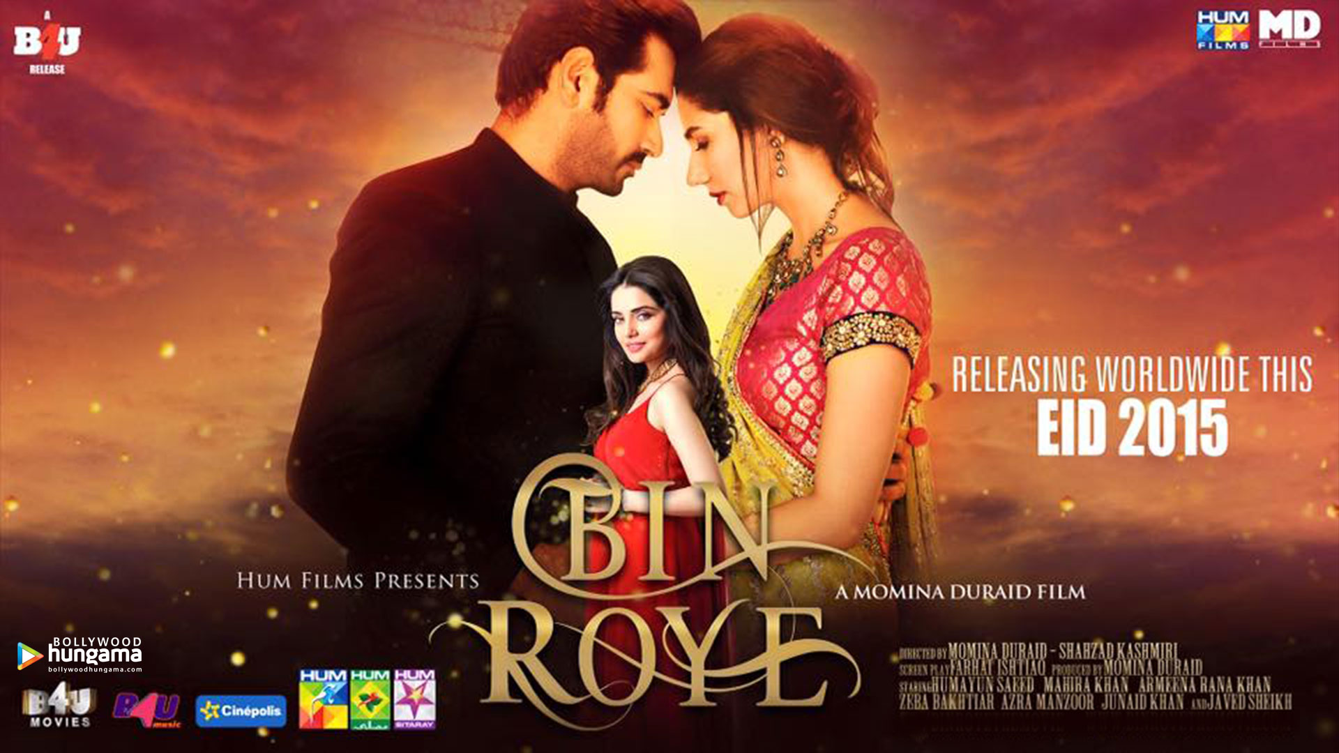 Bin Roye (Pakistani)