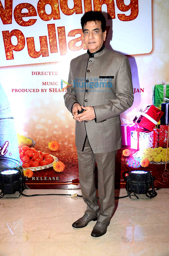first look trailer launch of wedding pullav 33
