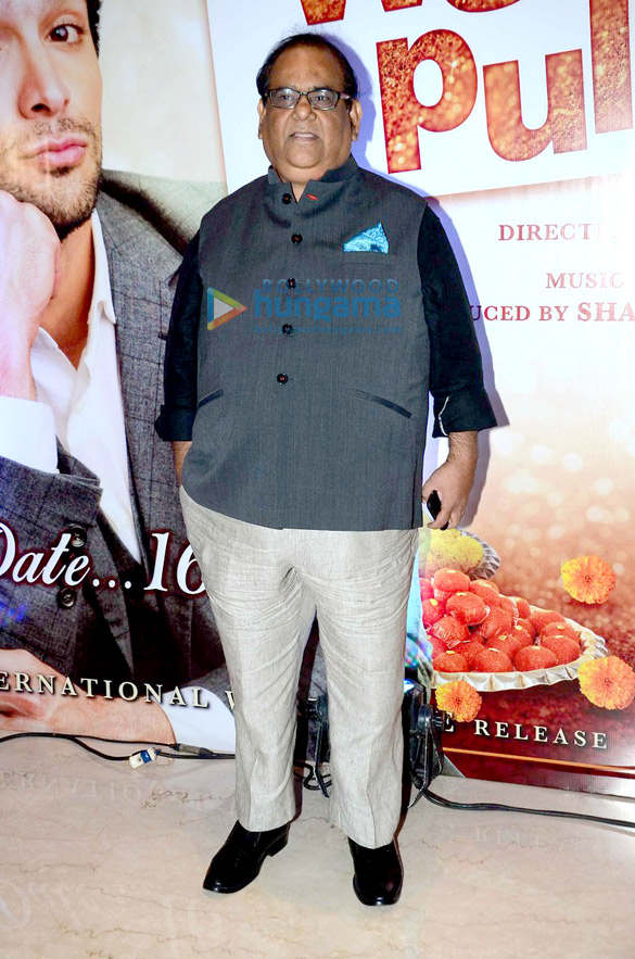 first look trailer launch of wedding pullav 35