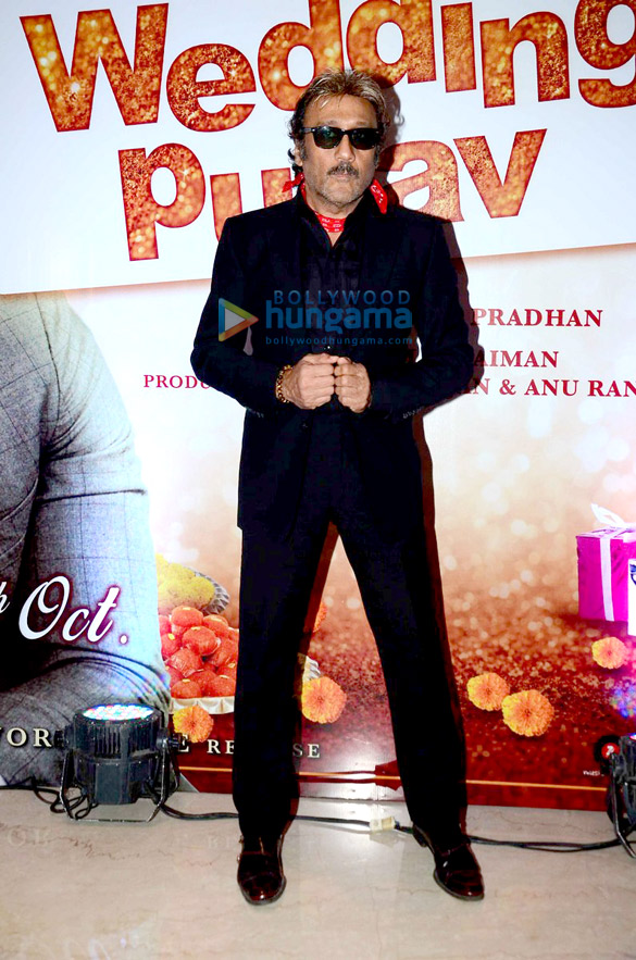 first look trailer launch of wedding pullav 10
