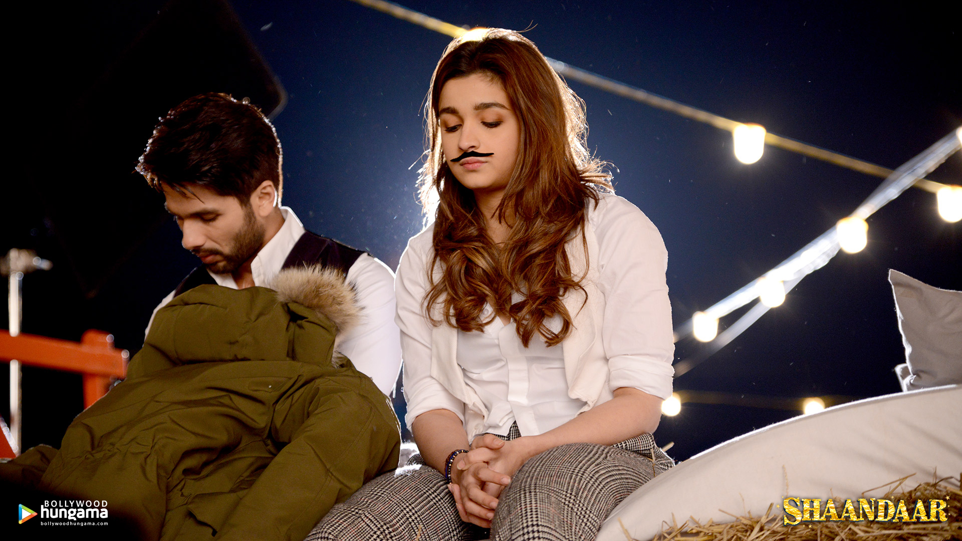 Shaandaar