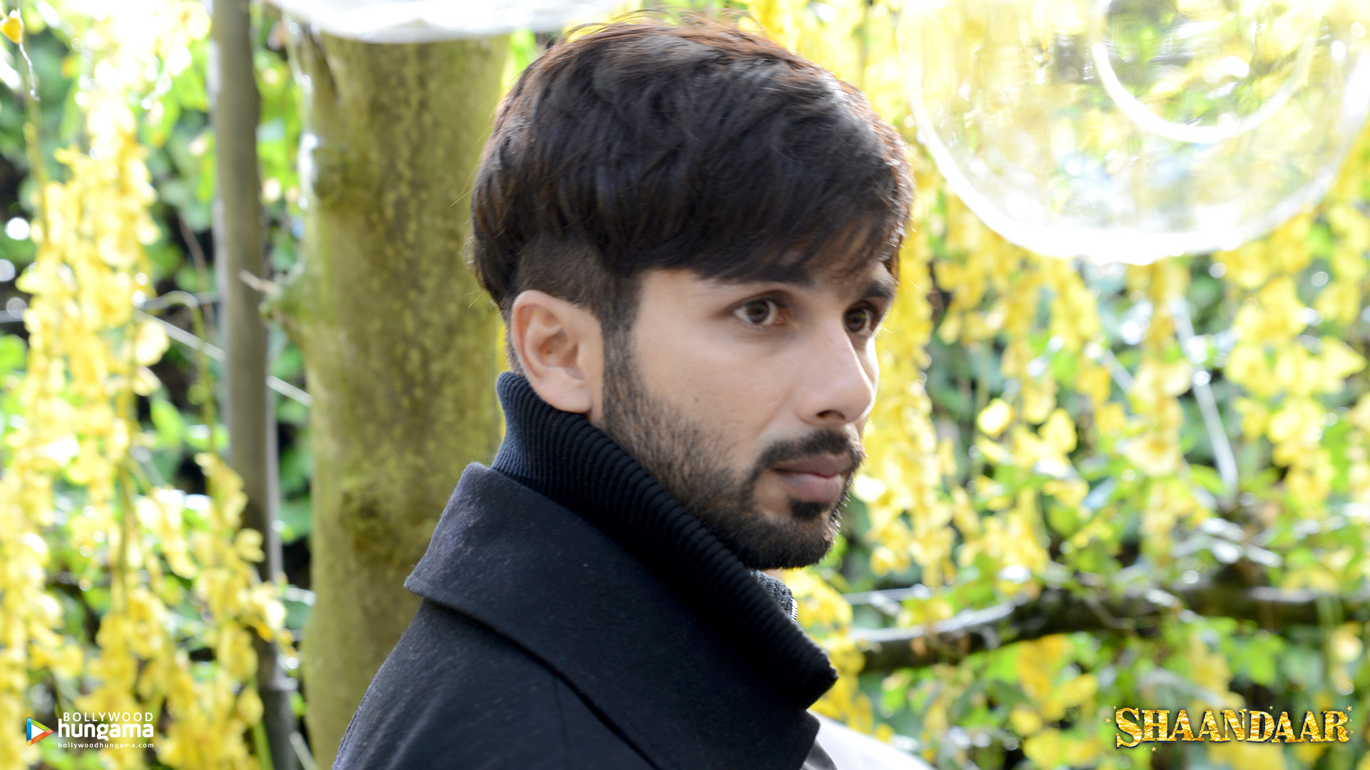 Shaandaar Shaandaar