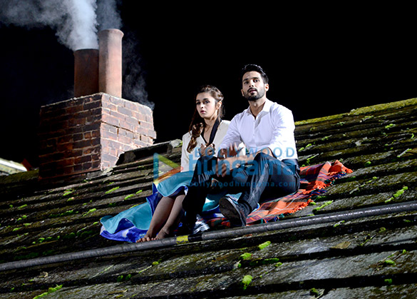 shaandaar 136