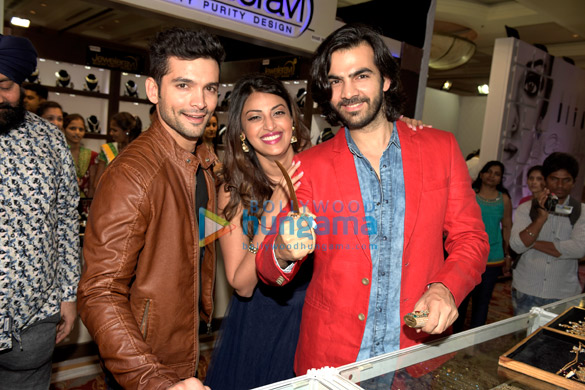 star cast of wedding pullav inaugurate glitter 2015 7