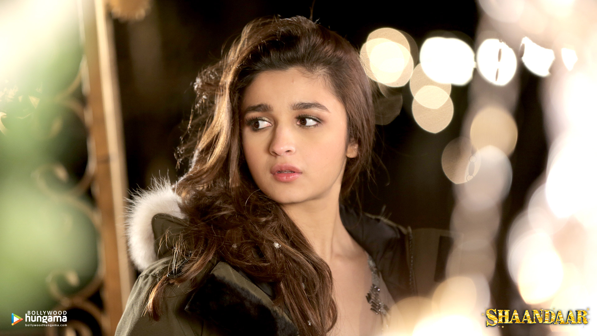 Shaandaar