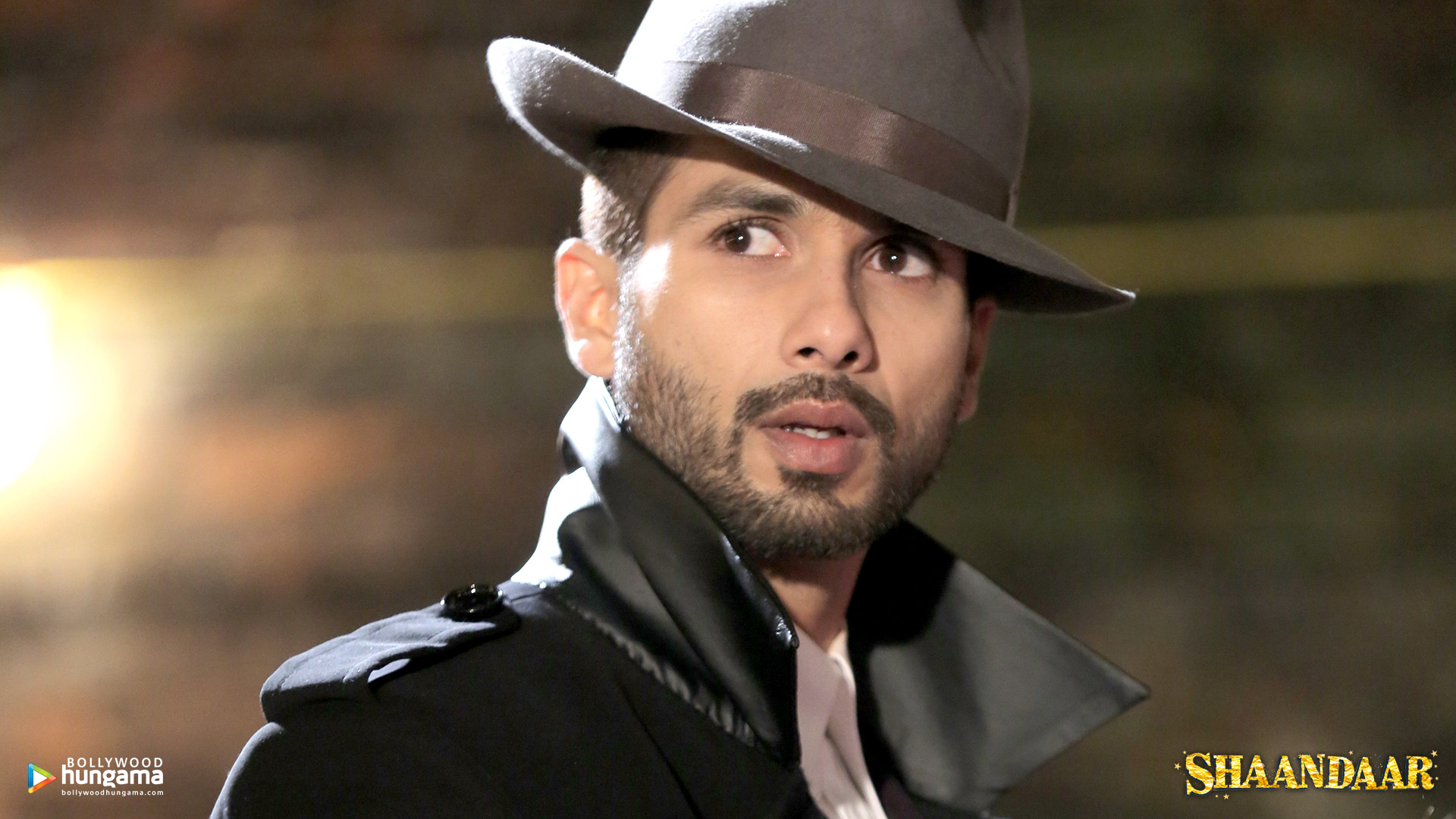 Shaandaar Shaandaar