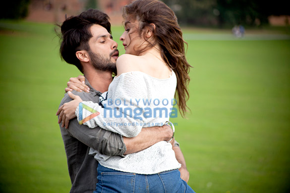 shaandaar 177