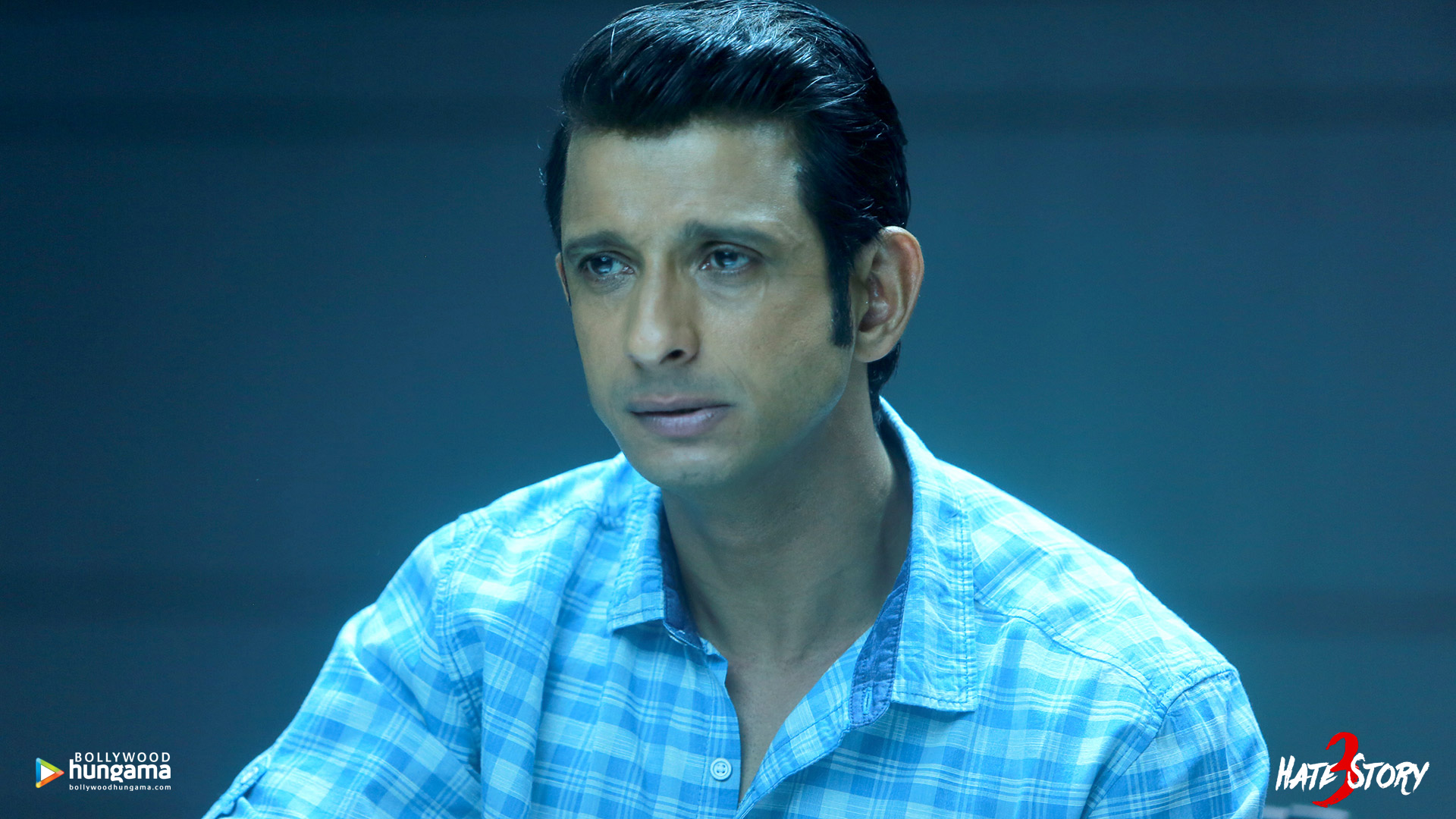 Hate Story 3
