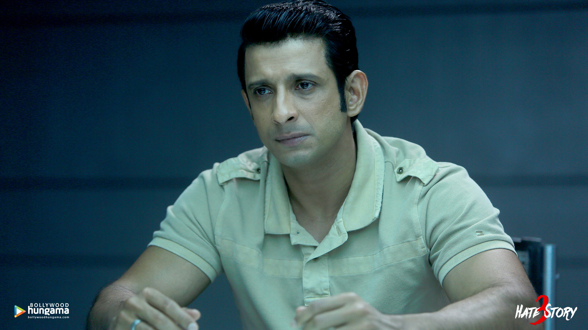 Hate Story 3