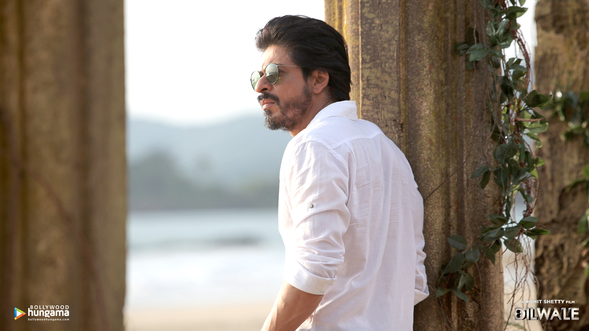 Dilwale