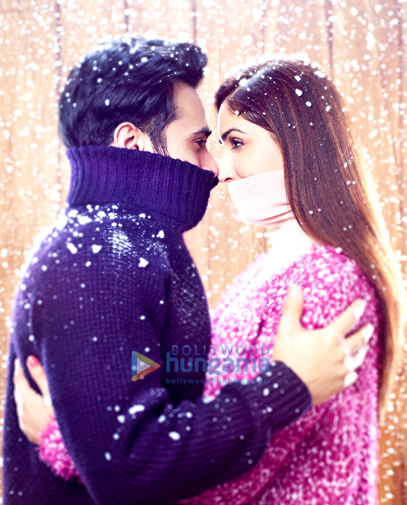 sanam re 33