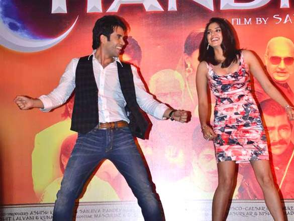 audio release of chaar din ki chandni 9