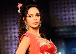 Mallika Sherawat to do item number in Tezz