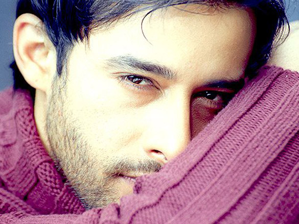 zulfi syed 6