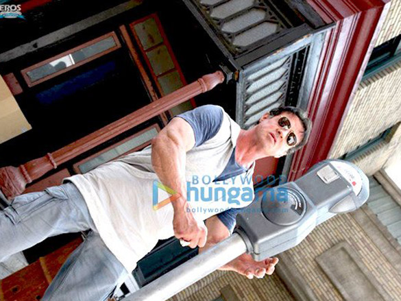 sylvester stallone 6