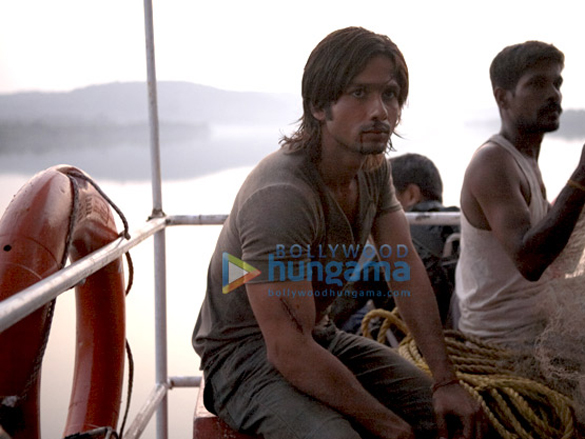 shahid kapoor 86