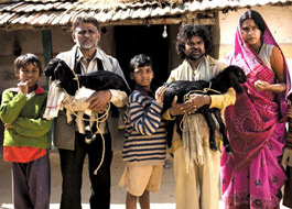 Villager demands share in Peepli Live’s earnings