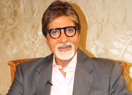 Big B joins ‘Save The Tiger’ campaign