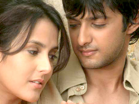 tulip joshivatsal sheth 2