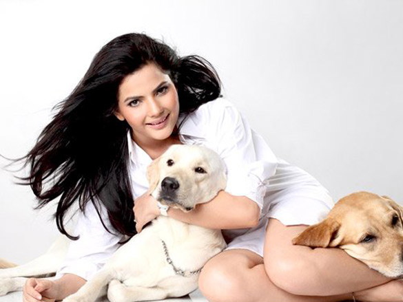 madhavi sharma 5