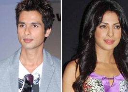 Shahid-Priyanka pairing not yet confirmed? Shahid-Priyanka pairing not yet confirmed?