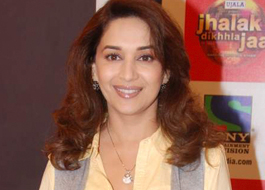 Madhuri Dixit to be brand ambassador of Comfort Liquid Conditioner