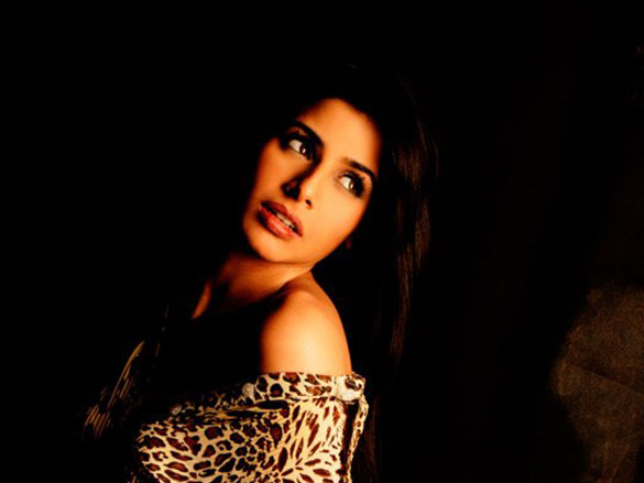 sonia mehra 17