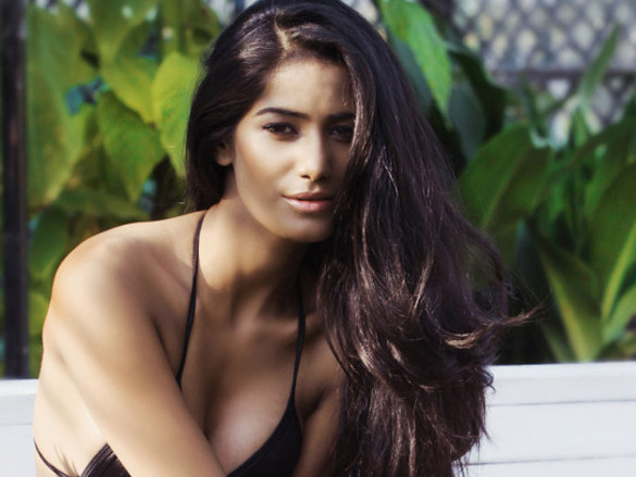 Poonam Pandey Photos Images HD Wallpapers Poonam Pandey HD Images Photos Bollywood Hungama