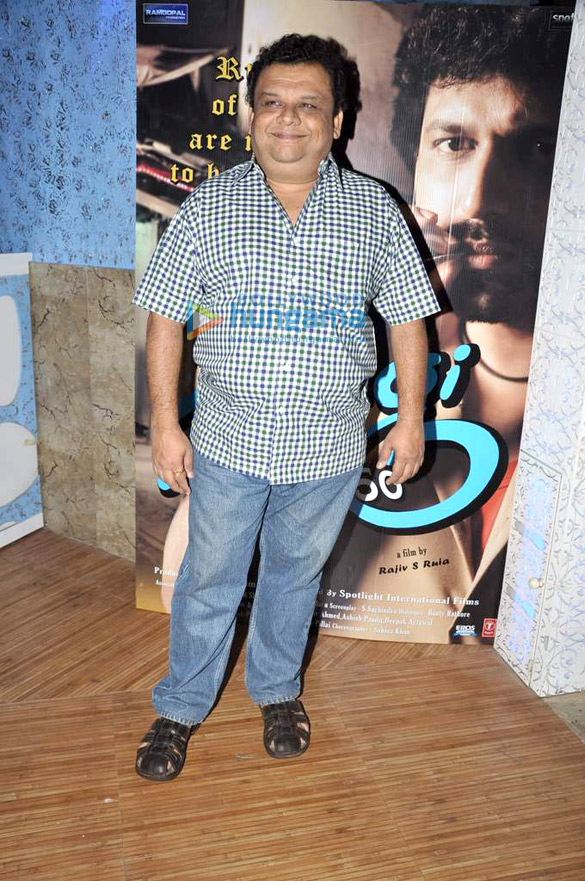 audio release of zindagi 50 50 11