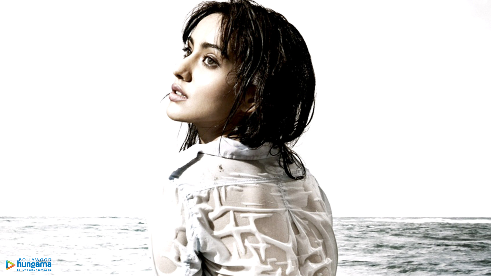 Neha Sharma Neha Sharma