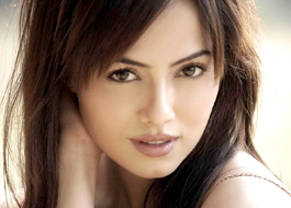Sana Khan gets bail