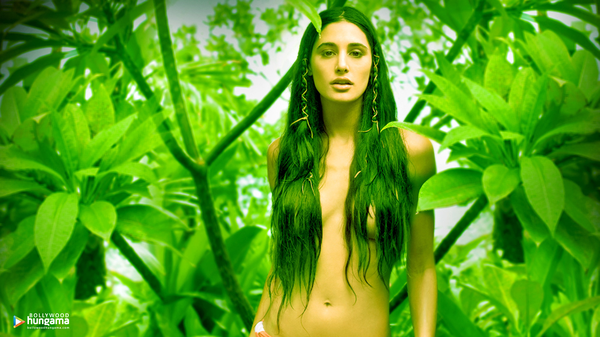 Nargis Fakhri Nargis Fakhri