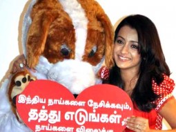 Trisha Krishnan’s Photoshoot For ‘PETA’