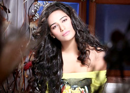 Poonam Pandey arrested and later released