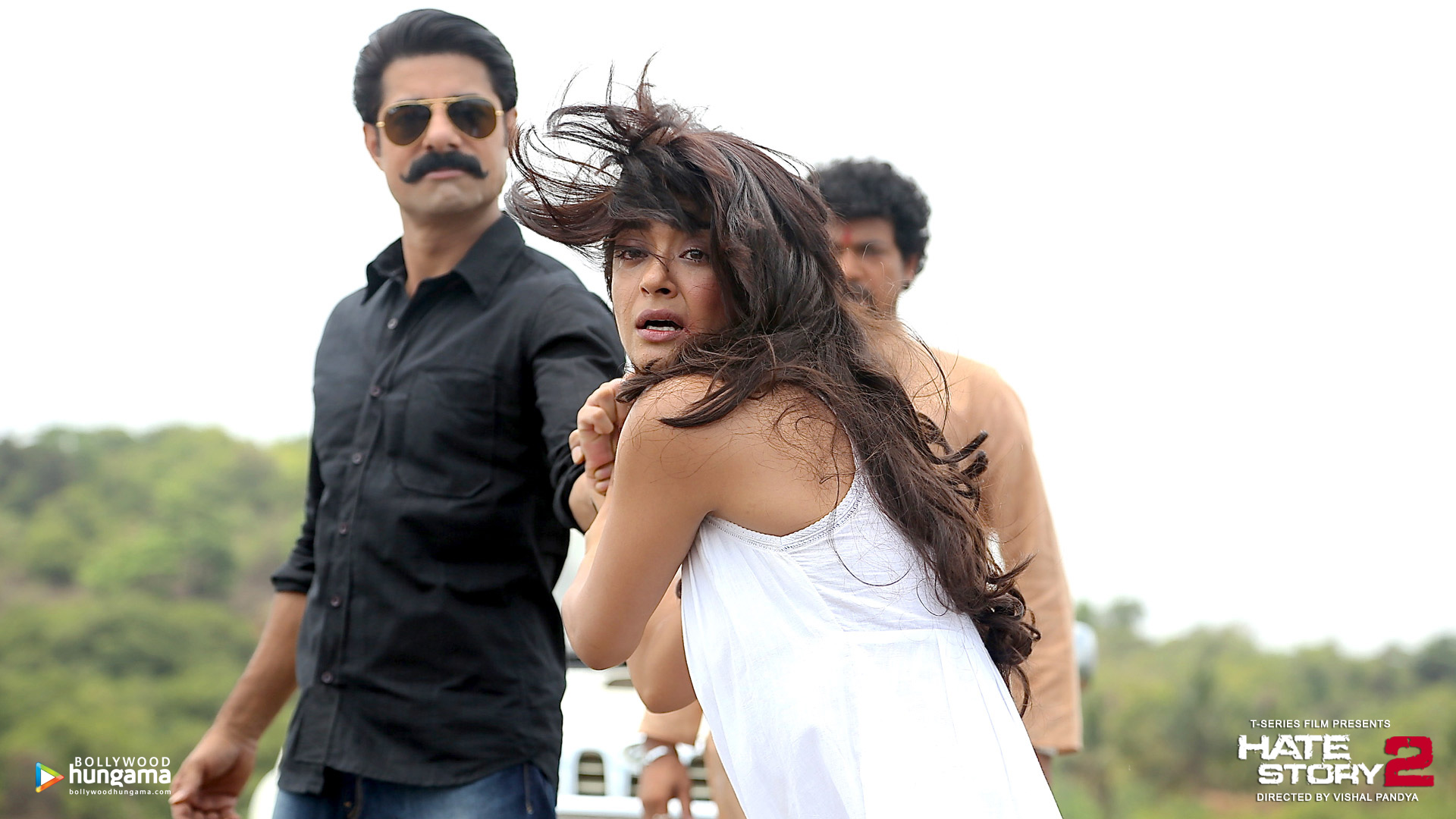Hate Story 2