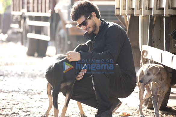 tahir raj bhasin 37