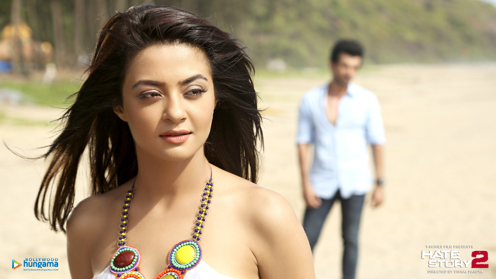 Hate Story 2