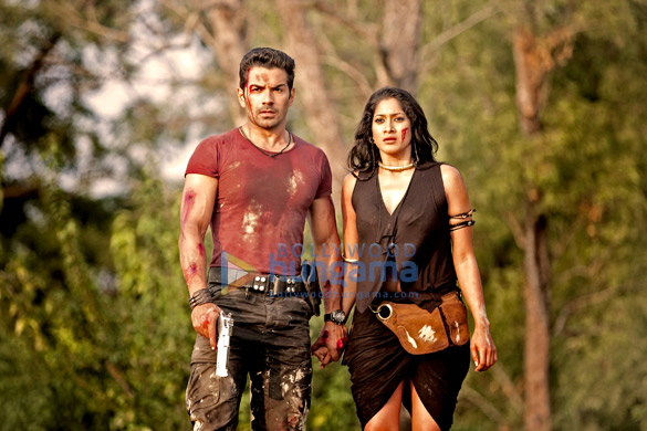 roar tigers of sunderbans 3