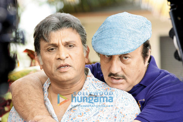 the shaukeens 86