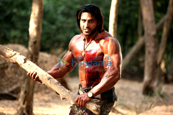 roar tigers of sunderbans 20