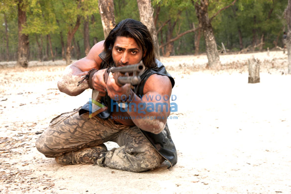 roar tigers of sunderbans 10
