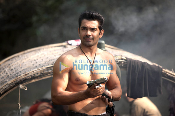roar tigers of sunderbans 26