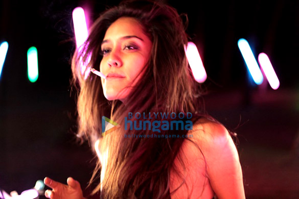 the shaukeens 87