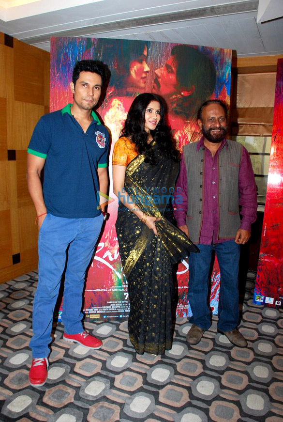 nandana sen randeep hooda promote rang rasiya colors of passion 2