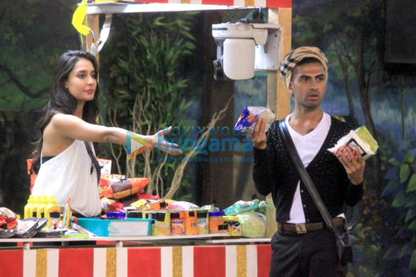lisa haydon on bigg boss 8 8